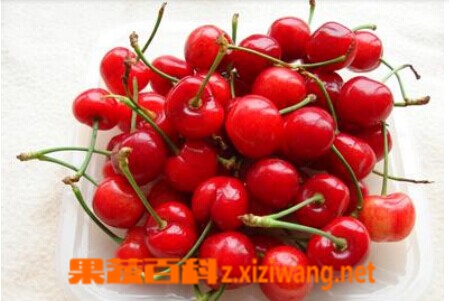 樱桃核的功效与作用