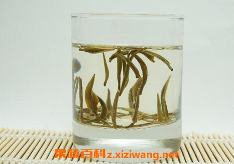 白毫银针能存放多久 白毫银针储存方法