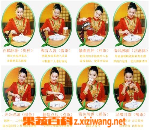 图解茶叶的泡法 各种茶叶的泡法