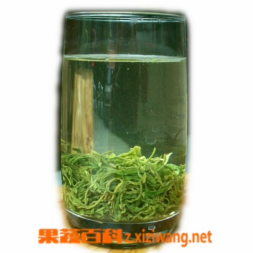 毛峰茶的功效