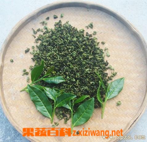 铁观音是绿茶吗 铁观音是不是绿茶