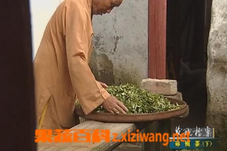 碎铜茶