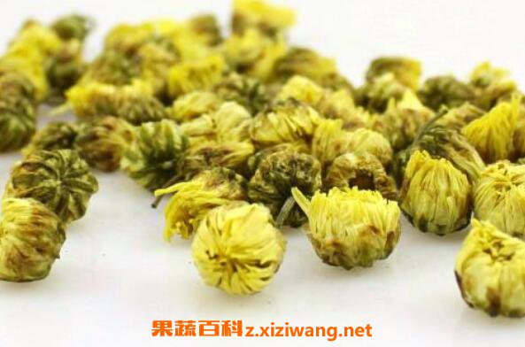 菊胎的功效与作用 菊胎的食用禁忌