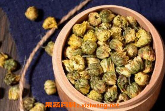 菊胎的功效与作用 菊胎的食用禁忌
