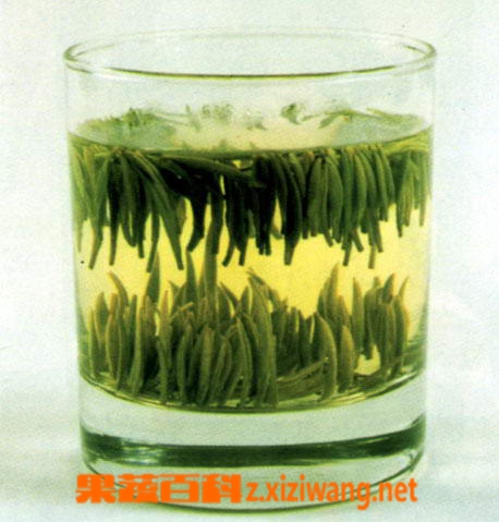 黄茶的特点 黄茶的功效和作用