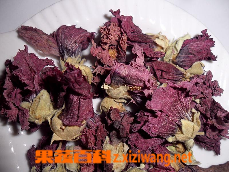 紫罗兰茶介绍和紫罗兰茶的保存方法