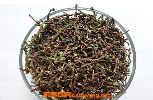 山密草茶的功效与作用 喝山密草茶的好处