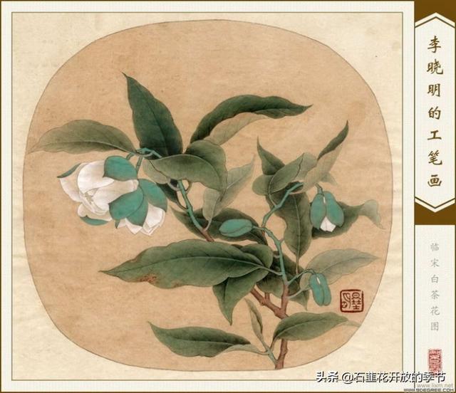 买房的人都成了房奴，那不买房的人成了什么？