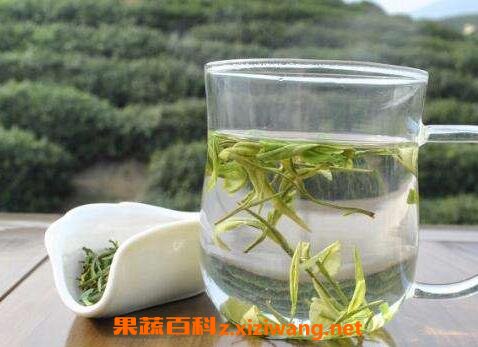 白茶和毛尖之间的区别