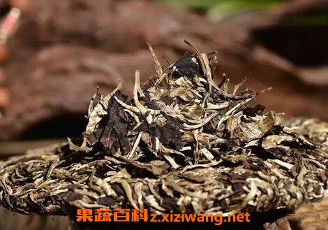 白茶籽的功效与作用及禁忌