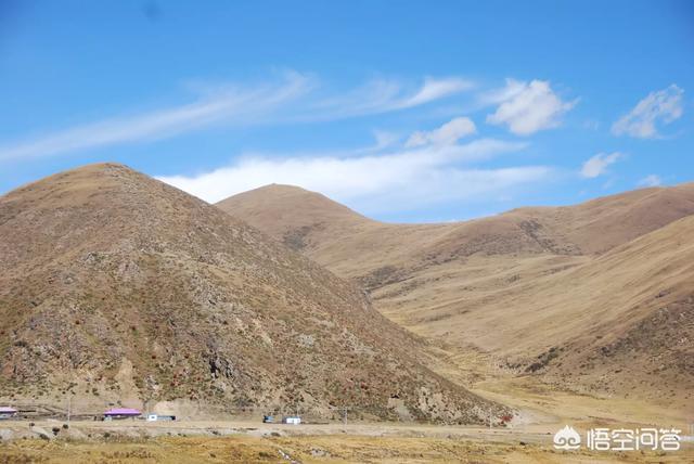 打算去西藏旅行，用哪种交通方式比较好？
