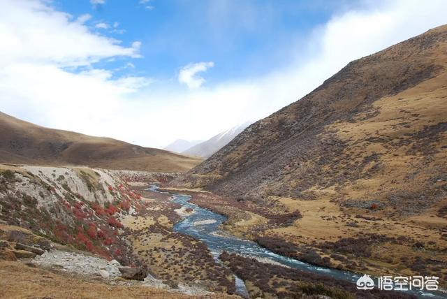 打算去西藏旅行，用哪种交通方式比较好？