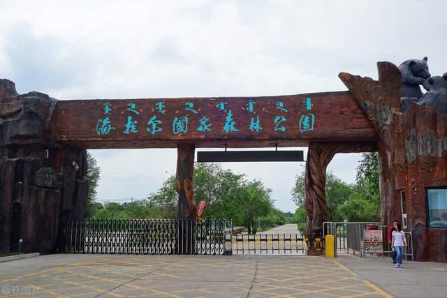 从北京自驾去阿尔山、呼伦贝尔、满洲里、漠河,最后再回北京,怎么设计路线合适?