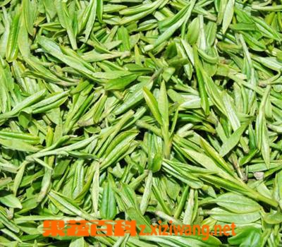龙井茶的功效与作用有哪些
