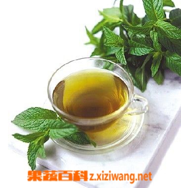 绿茶可以瘦身吗 如何用绿茶减肥瘦身