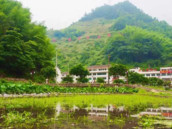 石家庄出发想自驾游三天,有哪些地方、什么路线值得推荐?