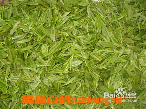 常喝绿茶的好处
