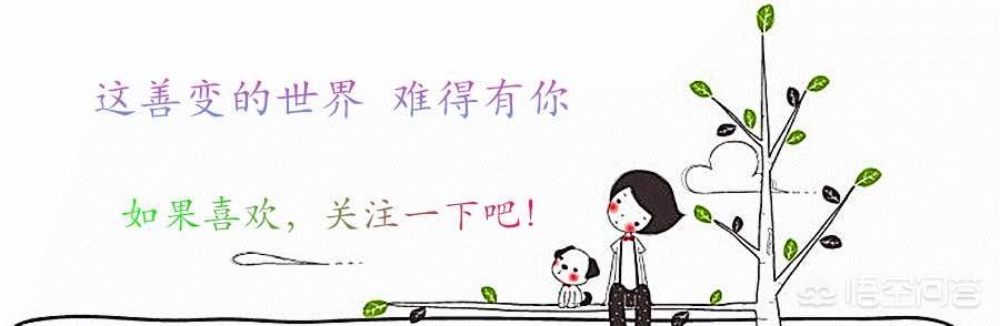 从长春出发去长白山旅游,该怎样规划路线?