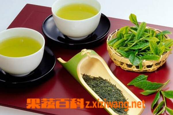 常喝绿茶可防癌是真的吗 冲泡绿茶时间别太长