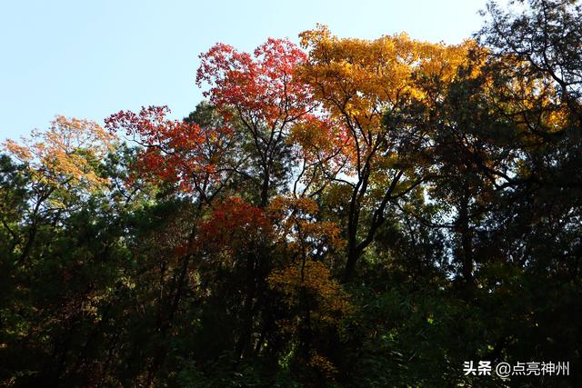 平顶山市内最值得去玩的地方有哪些?