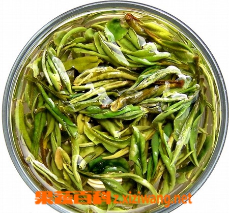 黄山毛峰茶叶特点和保存方法