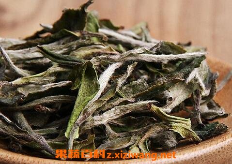 茶叶白牡丹和白毫银针的区别