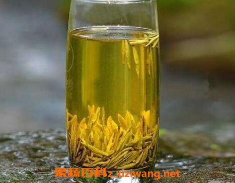 黄茶的养生功效与作用