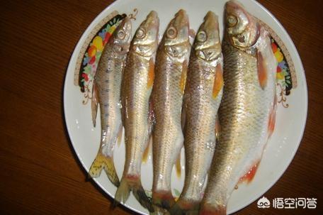 大庆有哪些地方美食？