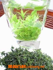 苦丁茶能治口臭吗