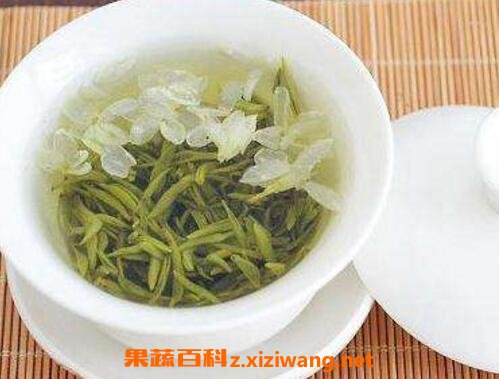什么是茉莉白茶 茉莉白茶有什么功效