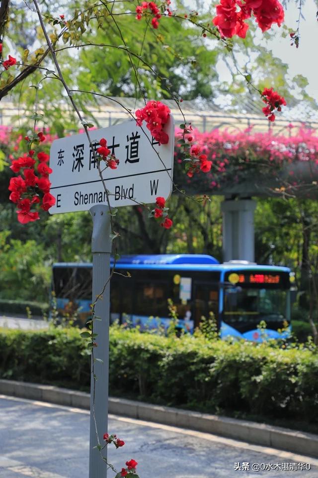 深圳一天游,最推荐去哪里?