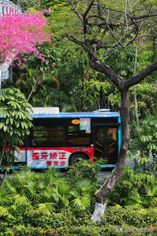 深圳一天游,最推荐去哪里?