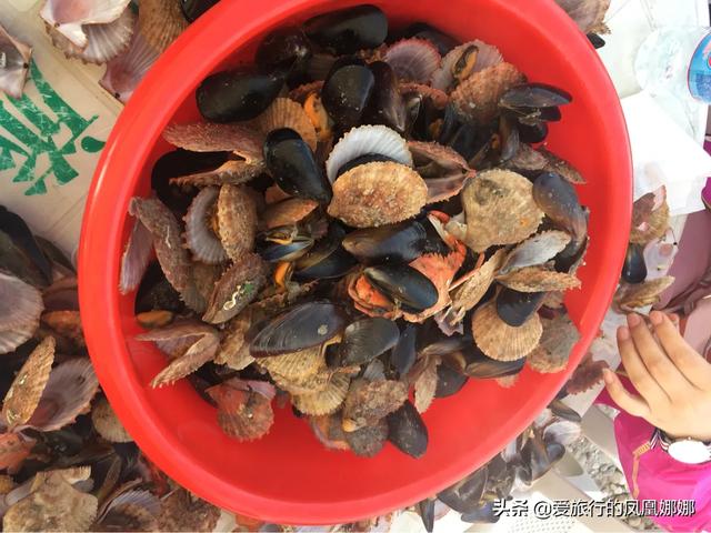 山東的長島和養(yǎng)馬島哪個更好玩？有什么特色？