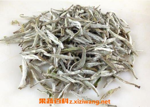 如何区分白毫银针的好坏