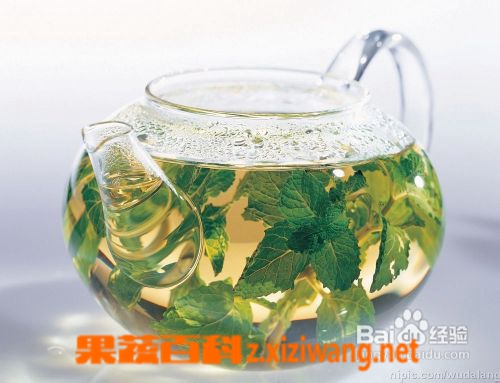 荷叶茶有什么功效