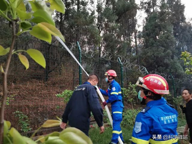 2020年3月30日,凉山西昌市突发森林大火,这次的原因又是什么?你怎么看?