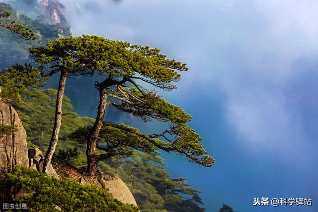 2020年3月30日,凉山西昌市突发森林大火,这次的原因又是什么?你怎么看?