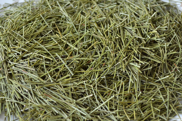 全松茶的功效与作用
