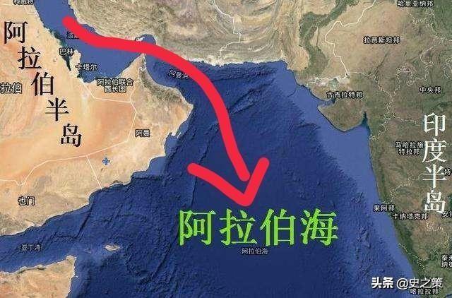 红海最窄处也有30千米,蝗虫怎么飞到阿拉伯的?