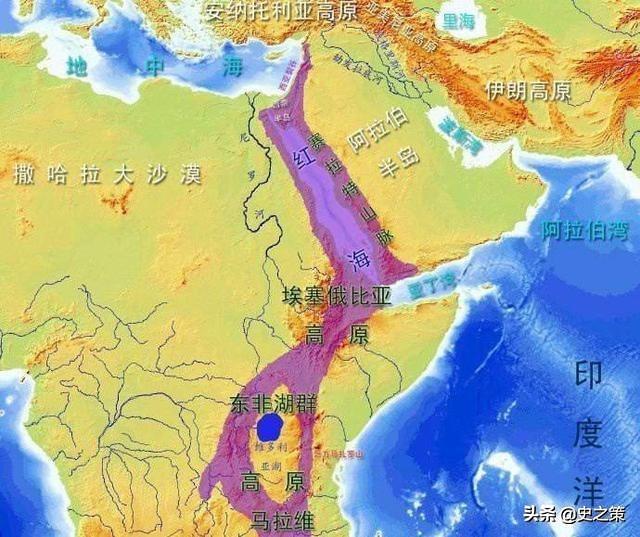 红海最窄处也有30千米,蝗虫怎么飞到阿拉伯的?