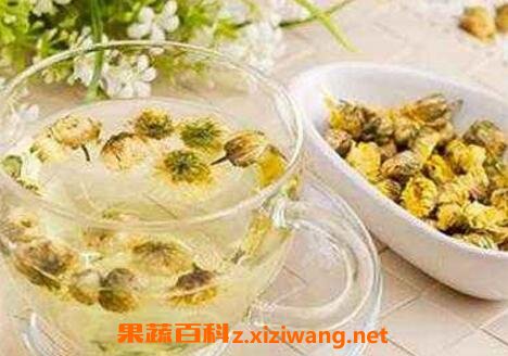 菊花茶跟什么相克 菊花茶的功效与禁忌
