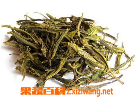 霍山黄芽的真假怎么区分