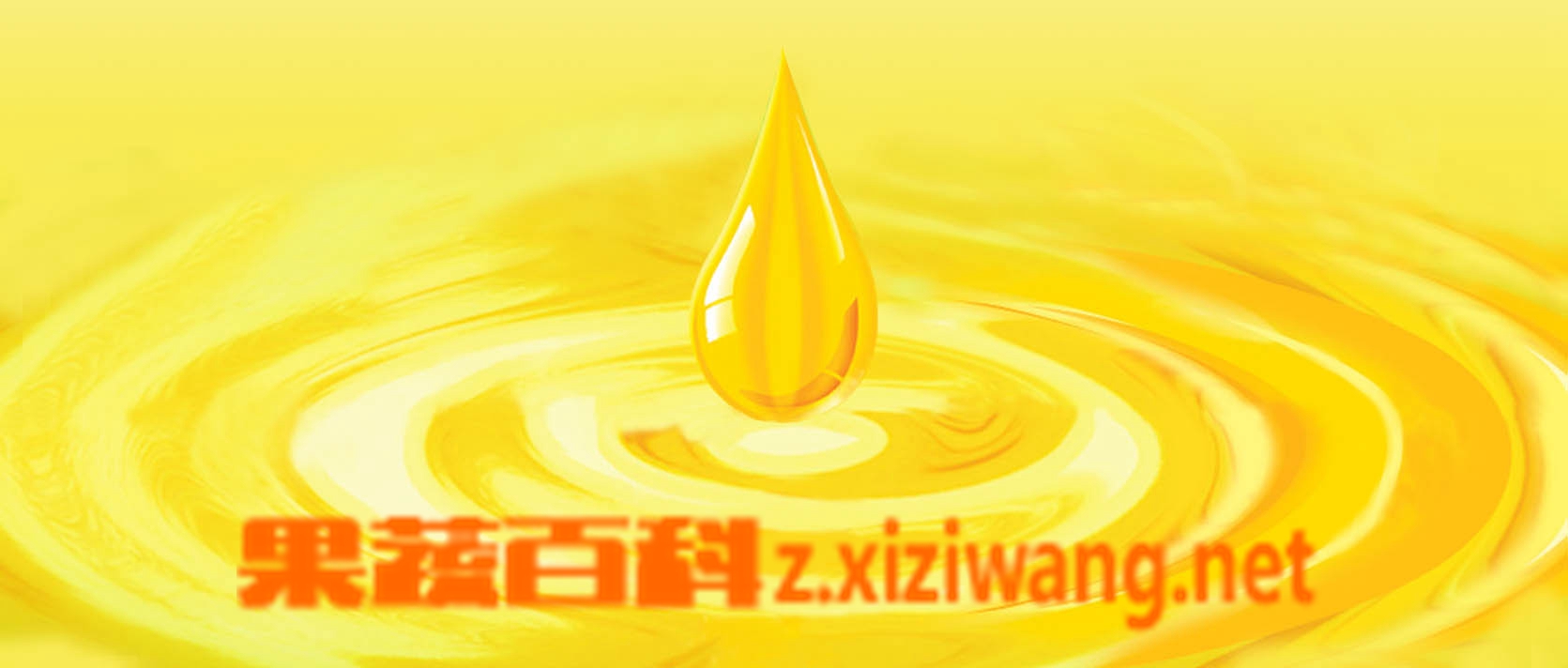过期茶油的功效与作用