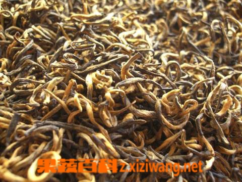 湖南安化黑茶