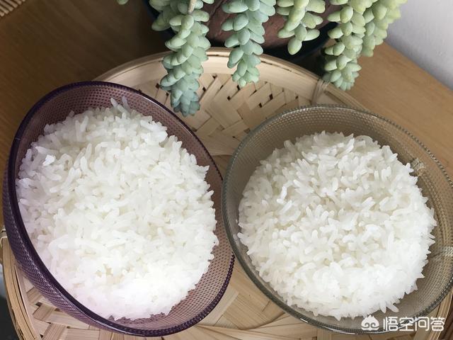 什么大米最好吃?