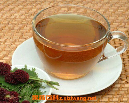 全松茶什么人不能喝 全松茶的副作用