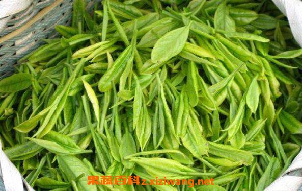 霍山黄芽属于什么茶 霍山黄芽的功效与作用
