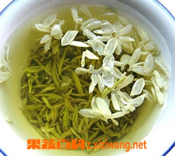茉莉花茶的产地有哪些