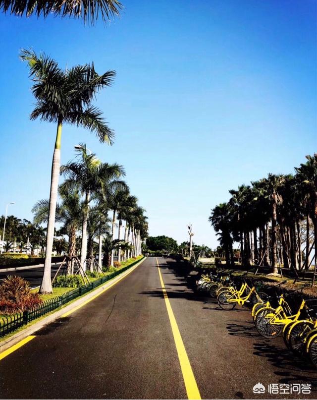 为什么那么多人去厦门旅游？