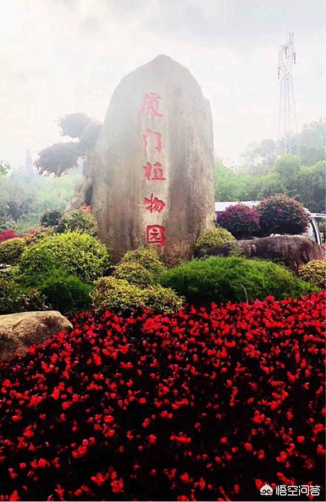 为什么那么多人去厦门旅游？